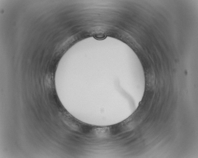 X0000069820126200606091430