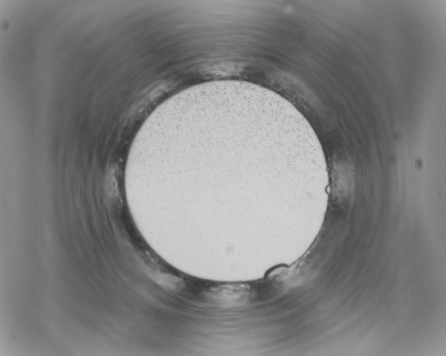 X0000069820128200606091430