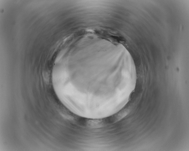 X0000069820139200606091430
