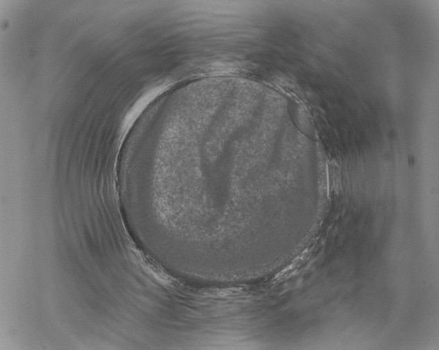 X0000069820147200606091429
