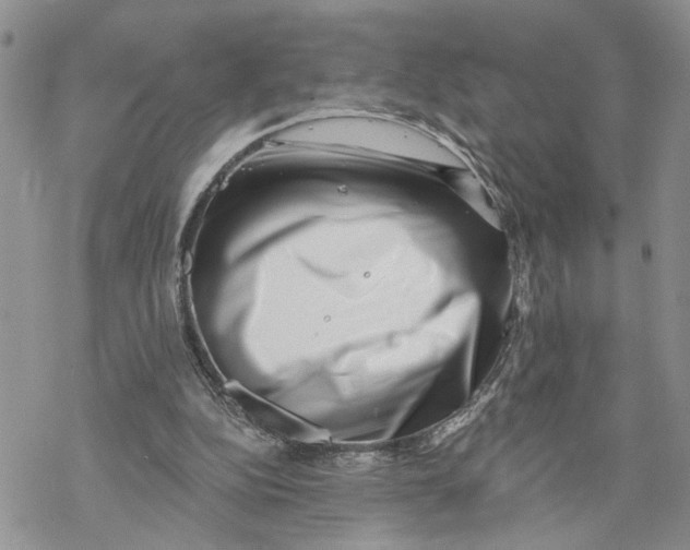 X0000069820152200606091429