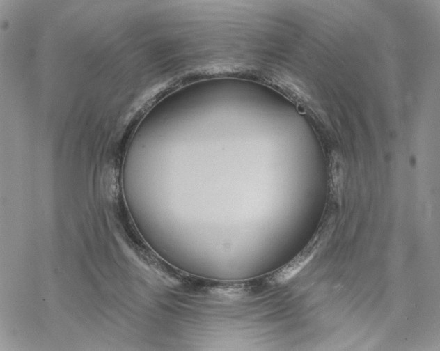 X0000069820164200606091430