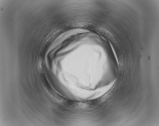 X0000069820166200606091430