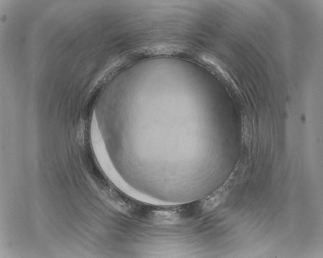 X0000069820167200606091430