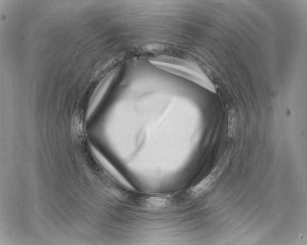 X0000069820176200606091430