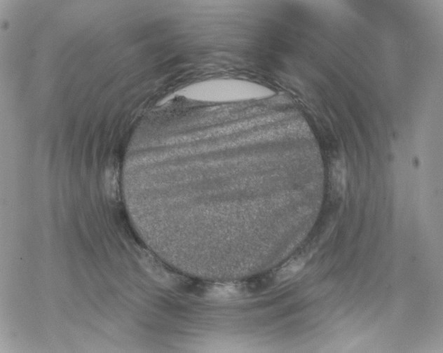 X0000069820177200606091430