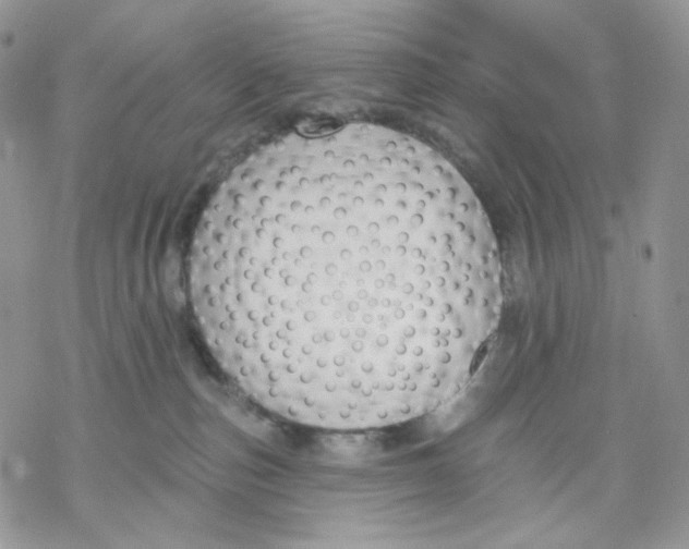 X0000069820187200606091430