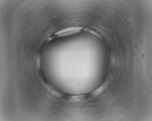 X0000069820188200606091430