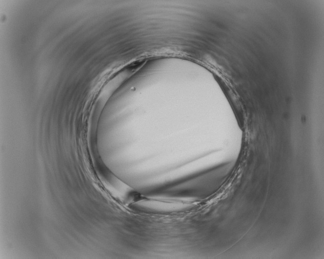 X0000069820193200606091429