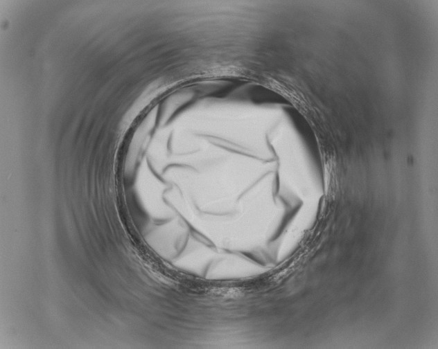 X0000069820195200606091429
