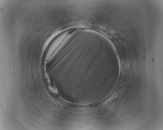 X0000069820200200606091429