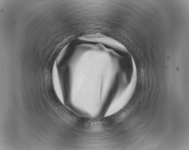 X0000069820228200606091429