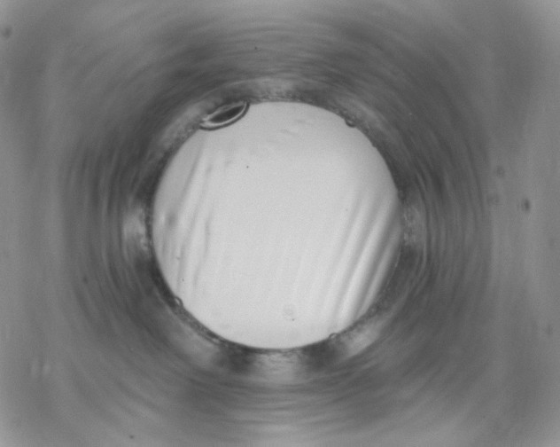 X0000069820238200606091428