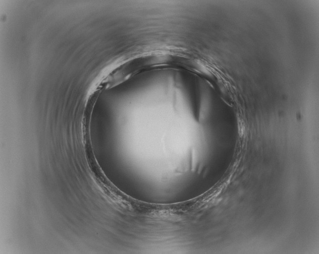 X0000069820244200606091428