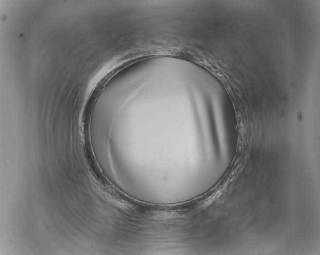 X0000069820246200606091428