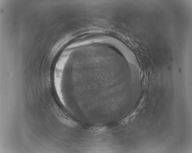 X0000069820247200606091428