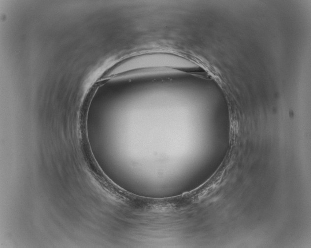 X0000069820248200606091428
