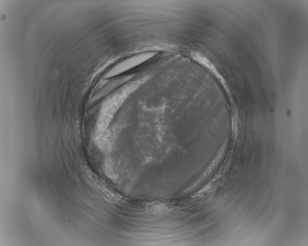 X0000069820249200606091428