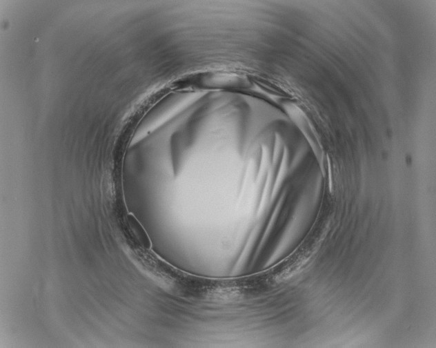 X0000069820252200606091428