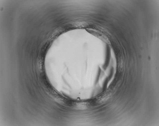 X0000069820268200606091428