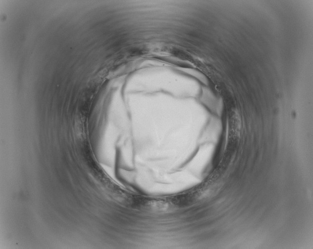 X0000069820272200606091428