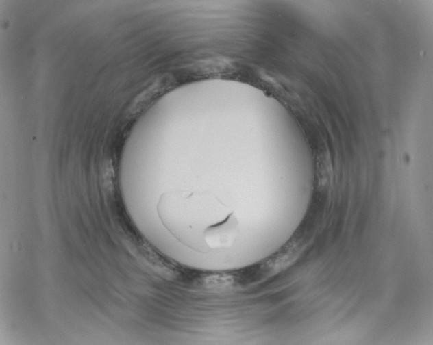 X0000069820279200606091428