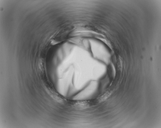 X0000069820280200606091428