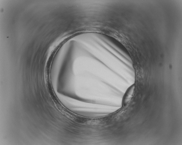 X0000069820294200606091428