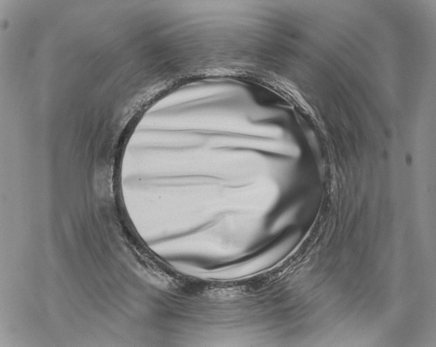 X0000069820299200606091428