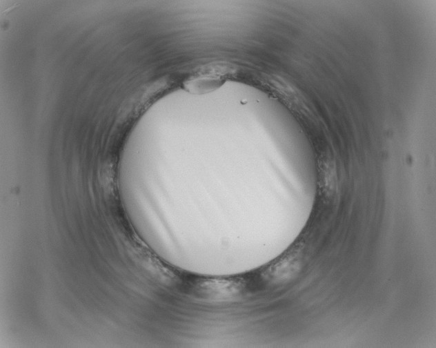 X0000069820326200606091427