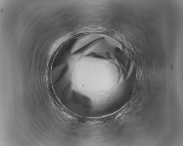 X0000069820340200606091426