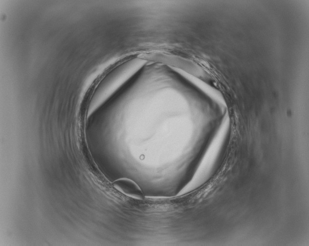 X0000069820342200606091426