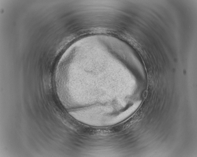 X0000069820347200606091426