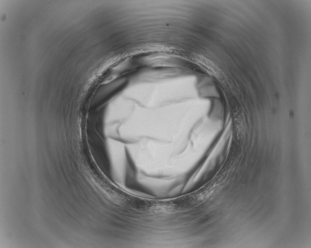 X0000069820350200606091426
