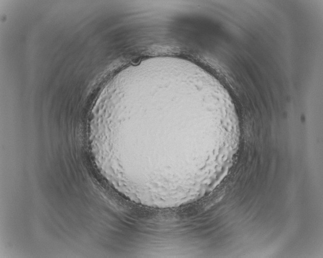 X0000069820353200606091426