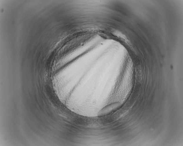 X0000069820355200606091426