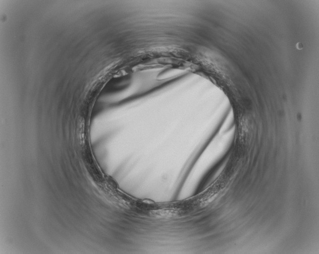 X0000069820356200606091426