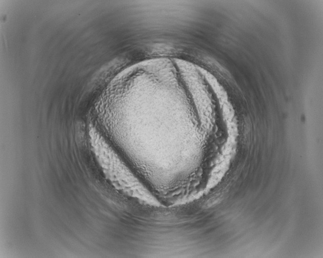 X0000069820361200606091427