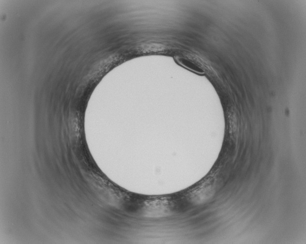 X0000069820362200606091427