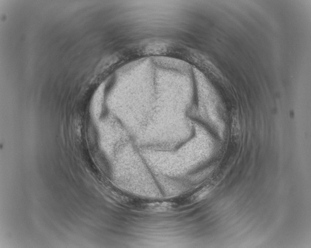 X0000069820363200606091427