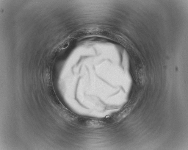 X0000069820372200606091427
