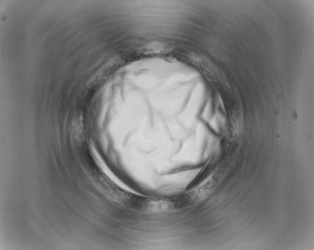 X0000069820376200606091427