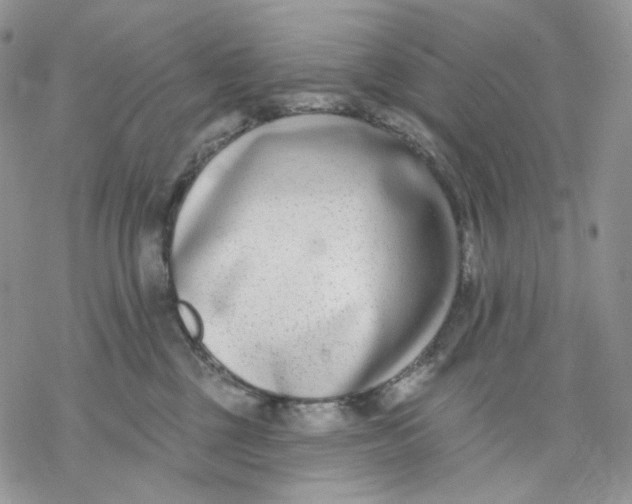 X0000069820377200606091427