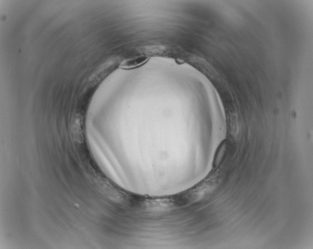 X0000069820378200606091427