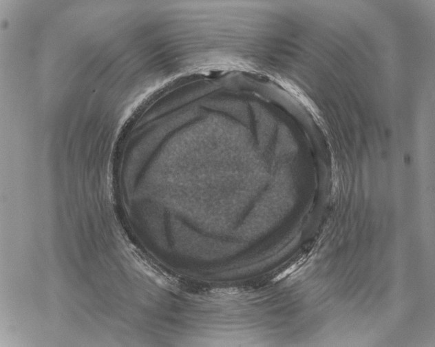 X0000069820391200606091426