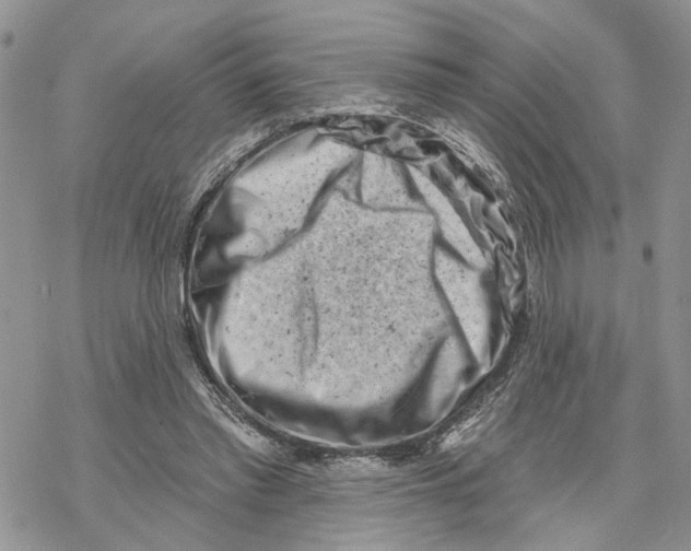 X0000069820397200606091426