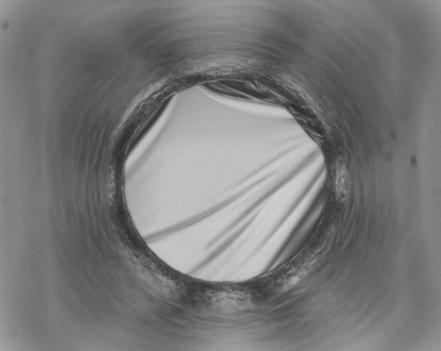 X0000069820400200606091426