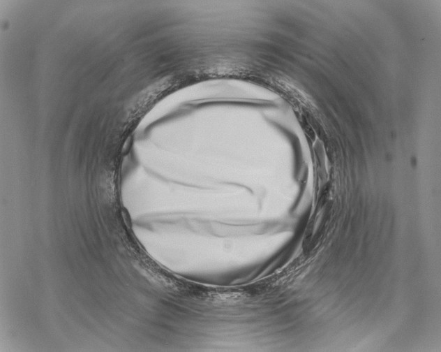X0000069820401200606091426