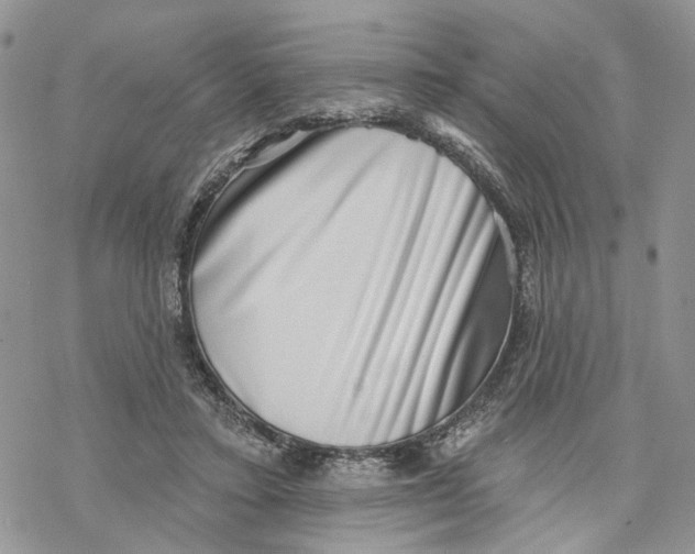 X0000069820403200606091426