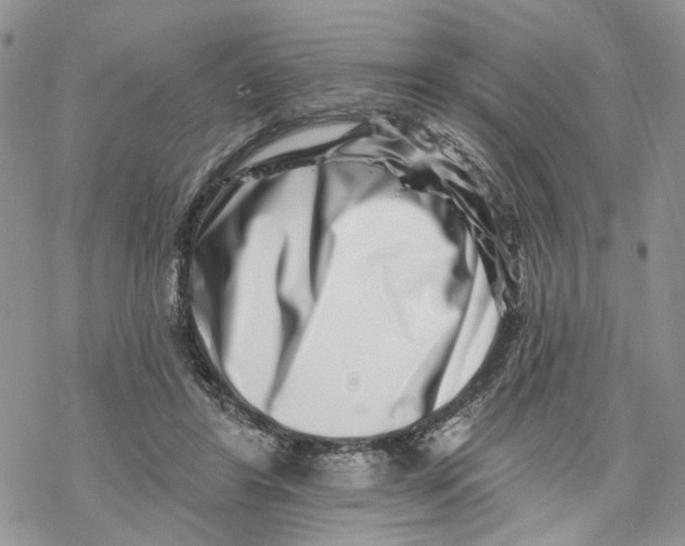 X0000069820404200606091426